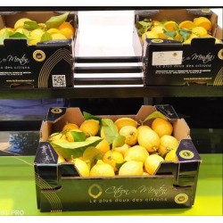 Le Citron de Menton IGP cagette de 5KG