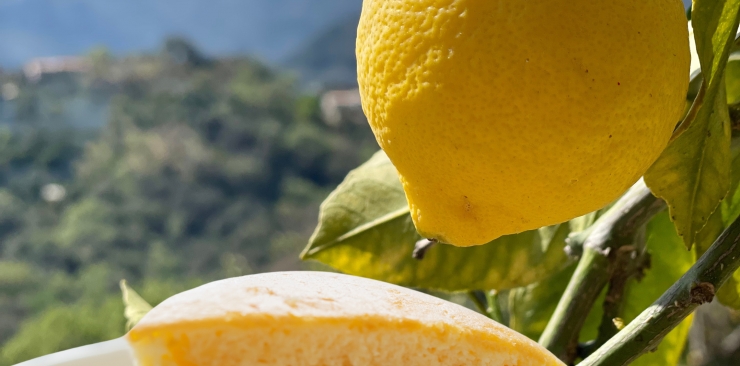 Gateau nuage au citron de Menton