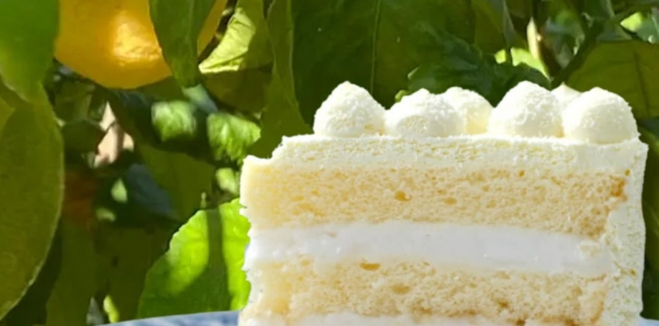 Gâteau coco citron vert
