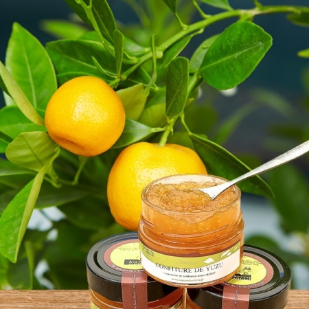 Confiture de yuzu