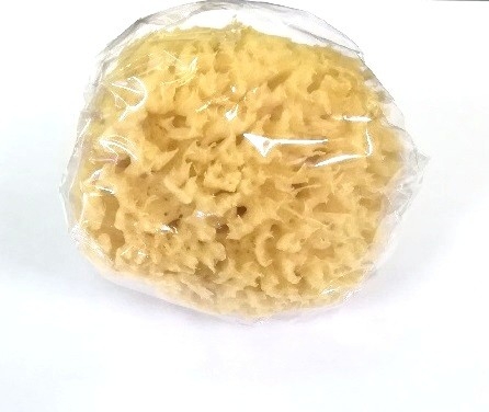 Eponge petit modÃ¨le