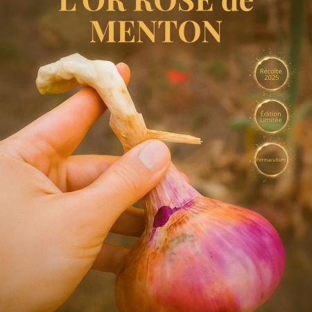 L'Or Rose de Menton - Oignon rose de Menton